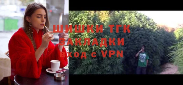 крисы Баксан