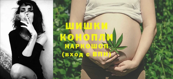 гашик Балахна