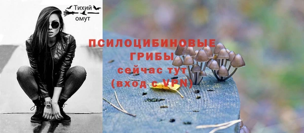 соль ск Балабаново