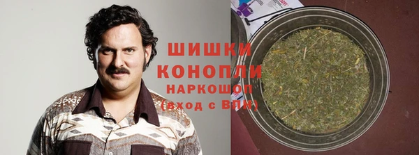 крисы Баксан