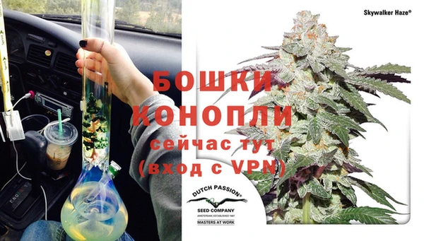 крисы Баксан