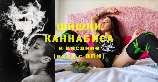крисы Баксан