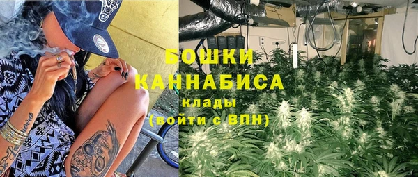 крисы Баксан